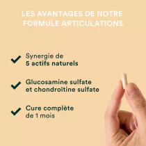 Formule Articulations