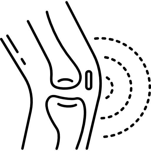 Articulations & Capital osseux